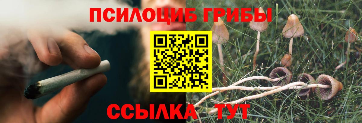 Псилоцибиновые грибы прущие грибы  Вход с VPN  Псилоцибиновые грибы мухоморы  Иркутск 
